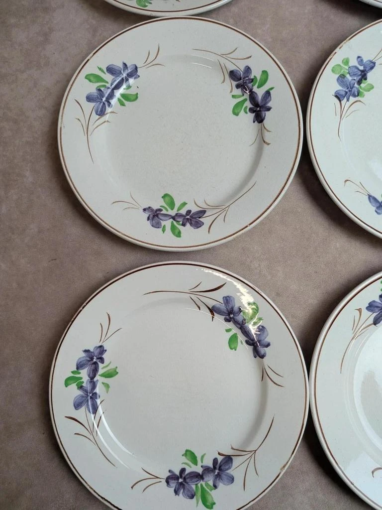 Lot de 9 pratos antigos de terra de fer – Opaque de Bordeaux – decoração floral pintada à mão – photo 3
